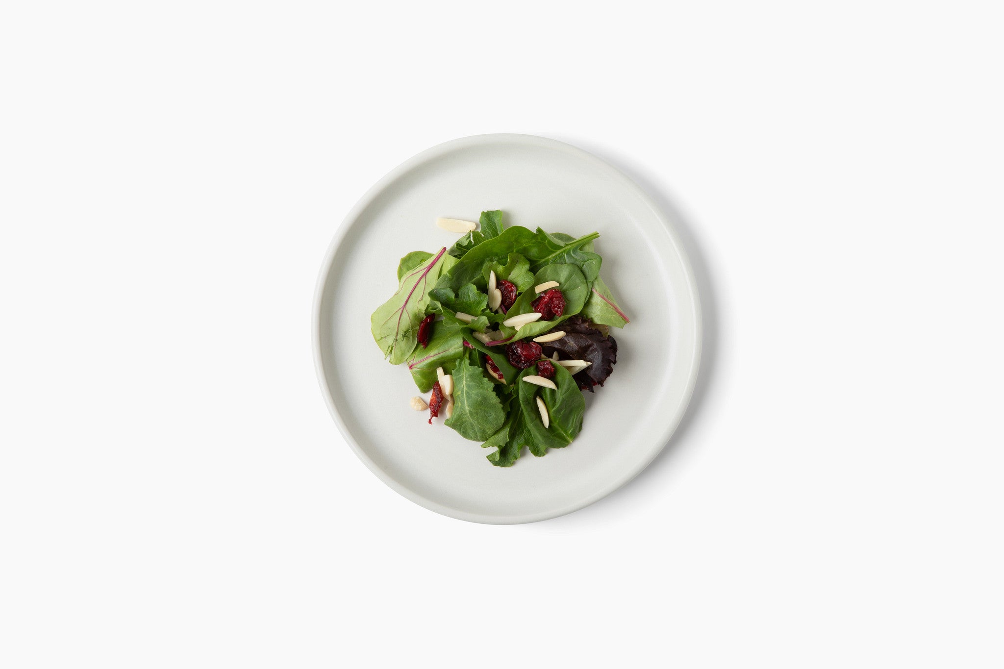 Matte White Salad Plates, Set of 4 | HF Coors