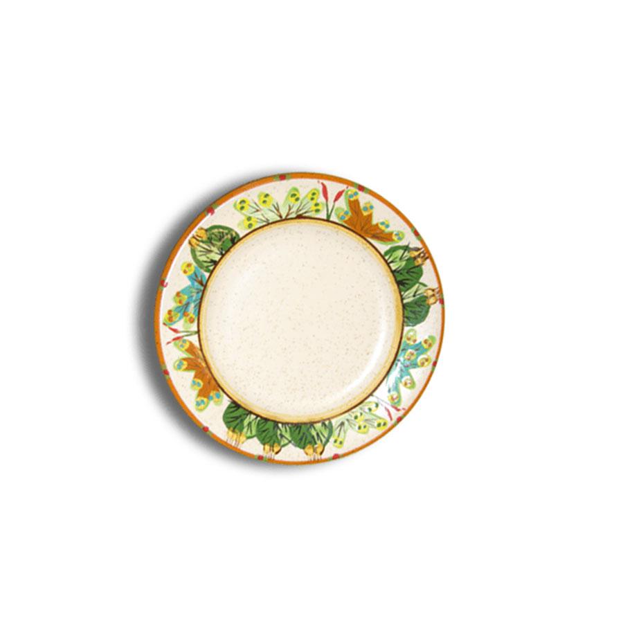 Dessert plate tan southwestern desert sonoran desert